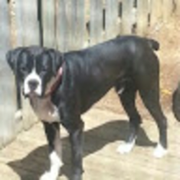 Meet your Posher, Candace - Picture 1 of 1